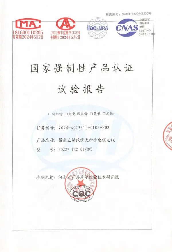 BV Test Report-1