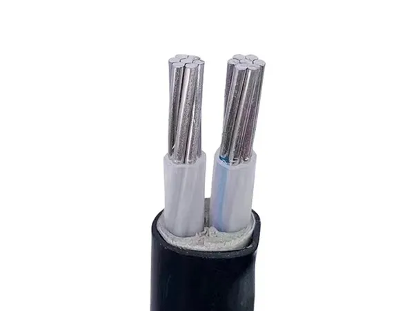 Low Power Cable for Safe and Cost-Effective Electrical Distribution